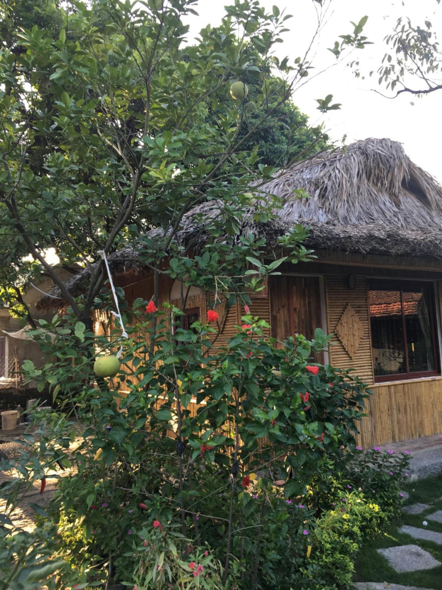 Villa Tam Coc Palm House Ninh Binh Exterior foto
