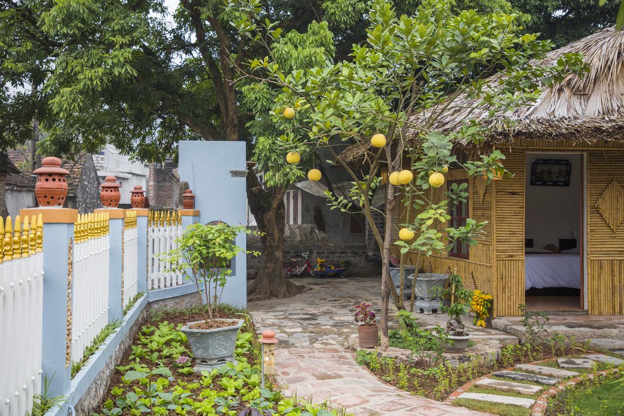 Villa Tam Coc Palm House Ninh Binh Exterior foto