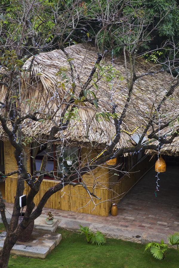 Villa Tam Coc Palm House Ninh Binh Exterior foto